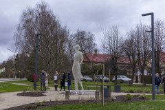 52502802057_6638ed9cf3_k